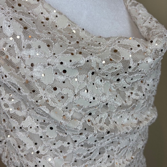 Dress Barn Est 1962 Cream Mesh/Lace Floral Sleeveless Pull On Stretch Midi Dress - Picture 4 of 15